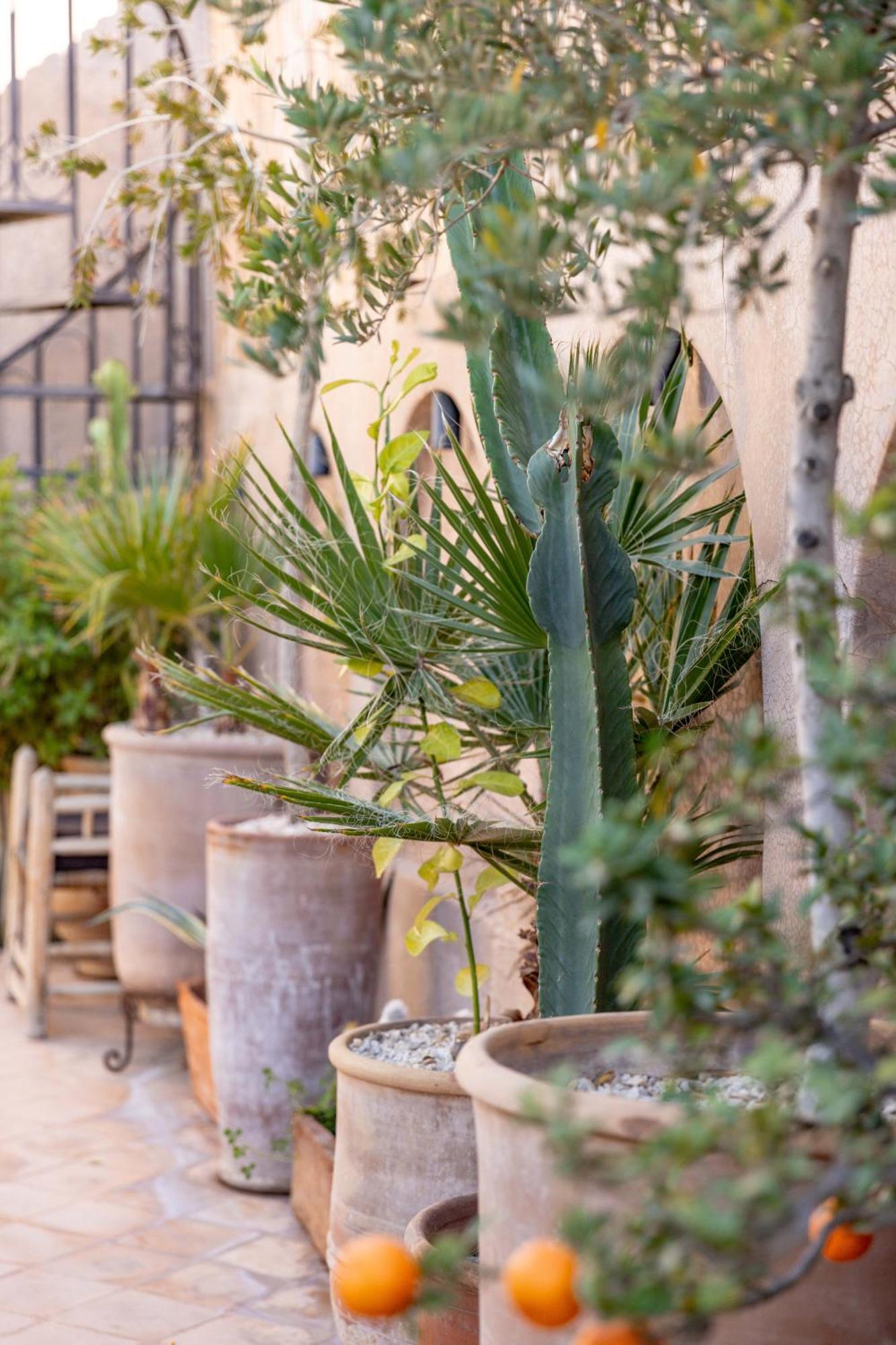 Bed and Breakfast Dar Beija Marrakesch Exterior foto