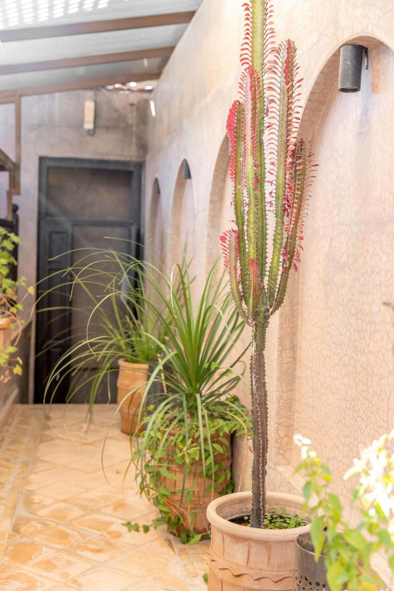 Bed and Breakfast Dar Beija Marrakesch Exterior foto